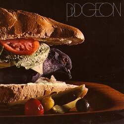 Pidgeon (2) Pidgeon Vinyl LP USED