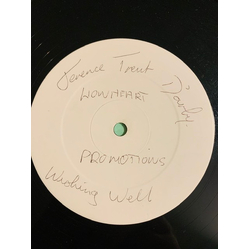 Terence Trent D'Arby Wishing Well (Three Coins In A Fountain Mix) Vinyl 12" USED