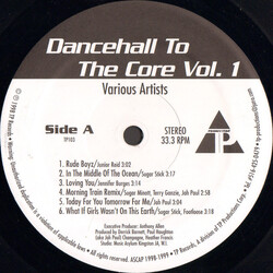 Various Dancehall To The Core Vol. 1 Vinyl LP USED