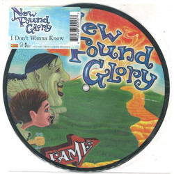 New Found Glory I Don't Wanna Know USED VINYL 7INCH 45 RPM SINGLE PICTURE DISC