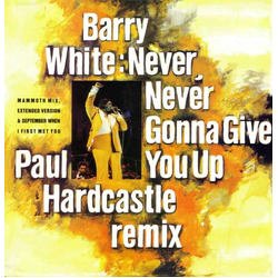 Barry White Never, Never Gonna Give You Up (Paul Hardcastle Remix) Vinyl 12" USED