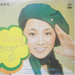 Feng Fei Fei 當我認識你 Vinyl LP USED