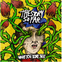 The Story So Far (2) What You Don't See Vinyl LP USED