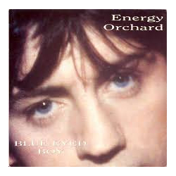Energy Orchard Blue Eyed Boy Vinyl 7" USED