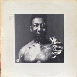 Muddy Waters After The Rain Vinyl LP USED