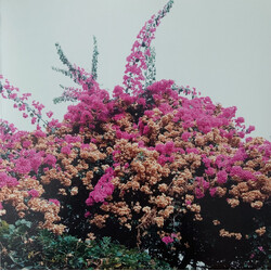 Jay Som Turn Into Vinyl LP USED