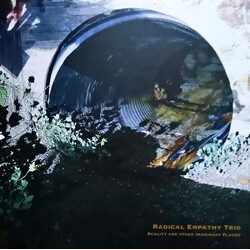 Radical Empathy Trio Reality and Other Imaginary Places Vinyl LP USED