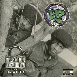Heltah Skeltah Operation Lockdown / Da Wiggy Vinyl 12" USED