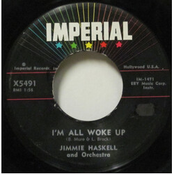 Jimmie Haskell And His Orchestra I'm All Woke Up / Bems USED VINYL 7INCH 45 RPM REPRESS