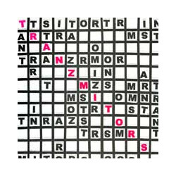 The Tranzmitors Tranzmitors USED VINYL 12INCH 45 RPM EP