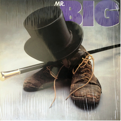 Mr. Big Mr. Big Vinyl LP USED