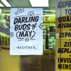 Viva Brother Darling Buds Of May USED VINYL 7INCH SINGLE LIMITED EDITION