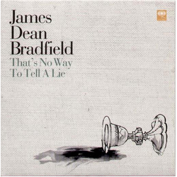 James Dean Bradfield That's No Way To Tell A Lie Vinyl 7" USED