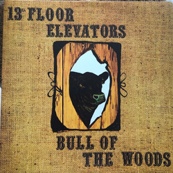 13th Floor Elevators Bull Of The Woods Vinyl 2 LP USED
