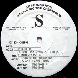 Lords Of The Underground What I'm After (Remix) VINYL 12" USED