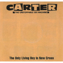 Carter The Unstoppable Sex Machine The Only Living Boy In New Cross Vinyl 12" USED