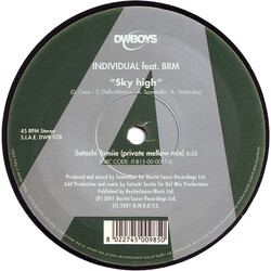 Individual / Billie Ray Martin Sky High USED VINYL 12INCH 45 RPM