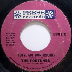The Fortunes You've Got Your Troubles VINYL 7" USED