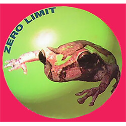 Zero Limit Verificación VINYL 12" USED