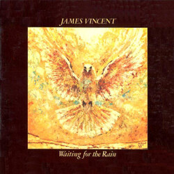 James Vincent Waiting For The Rain Vinyl LP USED
