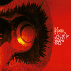 Soft Hearted Scientists Take Time To Wonder In A Whirling World Multi Vinyl LP/CD USED