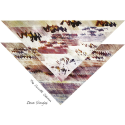 The Durutti Column Deux Triangles Deluxe Vinyl 2 LP USED