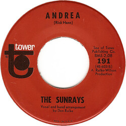 The Sunrays Andrea / You Don't Phase Me USED VINYL 7INCH 45 RPM SINGLE