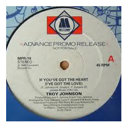 Troy Johnson If You've Got The Heart (I've Got The Love) USED VINYL 12INCH PROMO SINGLE