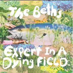 The Beths Expert In A Dying Field Vinyl LP USED