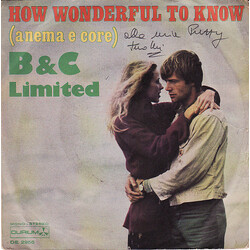 B & C Limited How Wonderful To Know (Anema E Core) USED VINYL 7INCH 45 RPM
