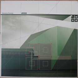 Binary Finary 2000 USED VINYL 12INCH 45 RPM
