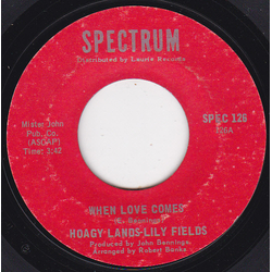 Hoagy Lands / Lily Fields When Love Comes / Beautiful Music Vinyl 7" USED