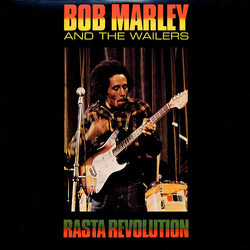 Bob Marley & The Wailers Rasta Revolution Vinyl LP USED