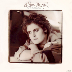 Alison Moyet That Ole Devil Called Love Vinyl 7" USED