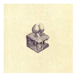 Kiran Leonard Western Culture Vinyl LP USED