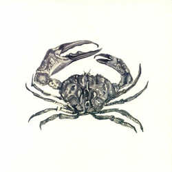 Adam Strömstedt Crab Shack USED VINYL 12INCH 33 S RPM