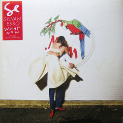 Sylvan Esso What Now Vinyl LP USED