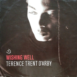 Terence Trent D'Arby Wishing Well Vinyl 12" USED