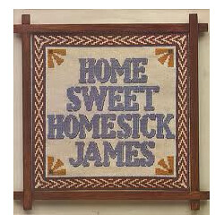 Homesick James Home Sweet Homesick James Vinyl LP USED