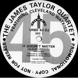 The James Taylor Quartet / Cleveland Watkiss It Doesn't Matter USED VINYL 12INCH PROMO