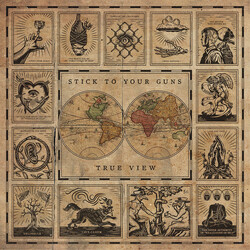 Stick To Your Guns True View Vinyl LP USED