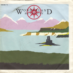 Big Country Wonderland Vinyl 7" USED