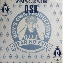 DSK What Would We Do VINYL 12" USED