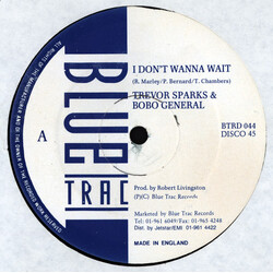 Trevor Sparks / Bobo General I Don't Wanna Wait Vinyl 12" USED