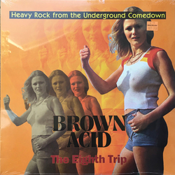 Various Brown Acid: The Eighth Trip (Heavy Rock From The Underground Comedown) Vinyl LP USED
