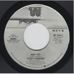 Fuzzy Haskins Not Yet USED VINYL 7INCH 45 RPM SINGLE PROMO STEREO MONO