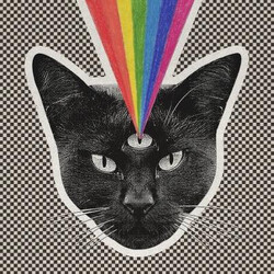 Never Shout Never Black Cat Vinyl LP USED