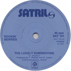 The Rockin' Berries The Lonely Summertime USED VINYL 7INCH 45 RPM SINGLE STEREO
