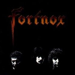 Fortnox (2) Fortnox Vinyl LP USED