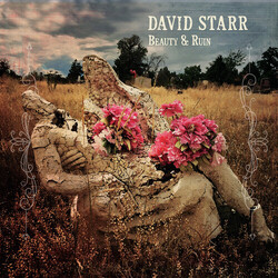 David Starr (9) Beauty & Ruin Vinyl LP USED